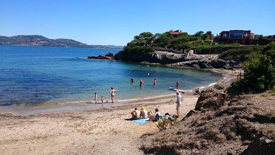 Hyeres Parc- Vue Mer Meditterannee Kültér fotó